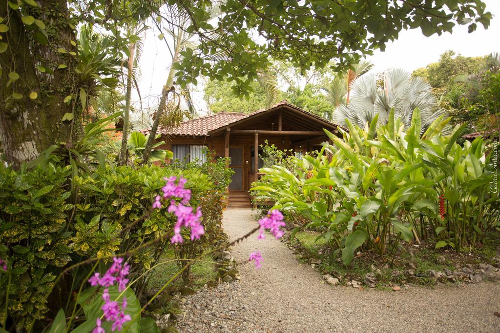 Casa Marcellino Lodge Кауита Экстерьер фото