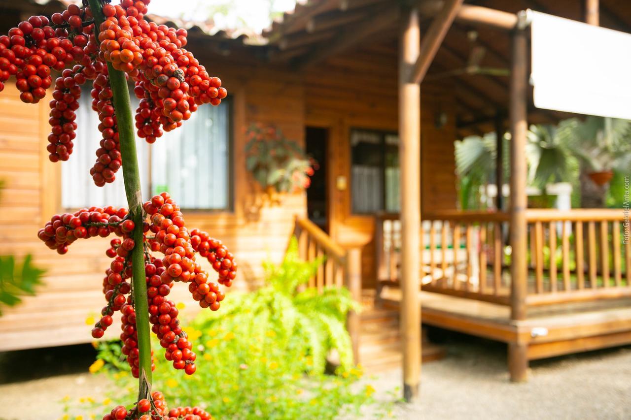 Casa Marcellino Lodge Кауита Экстерьер фото